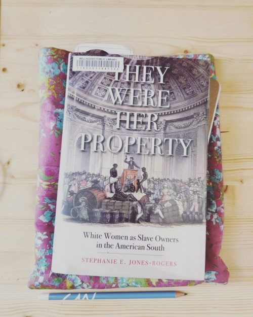 Photo of They Were Her Property by Stephanie E. Jones-Rogers on a pink print book sleeve with a blue pencil on pine background