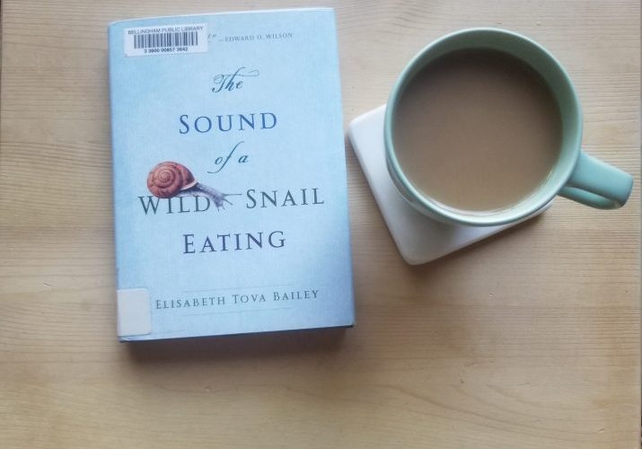 The Sound Of A Wild Snail Eating And Coffee Cup On A Pine Background