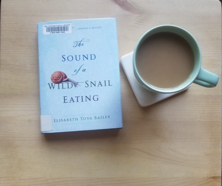 The Sound of a Wild Snail Eating and coffee cup on a pine background