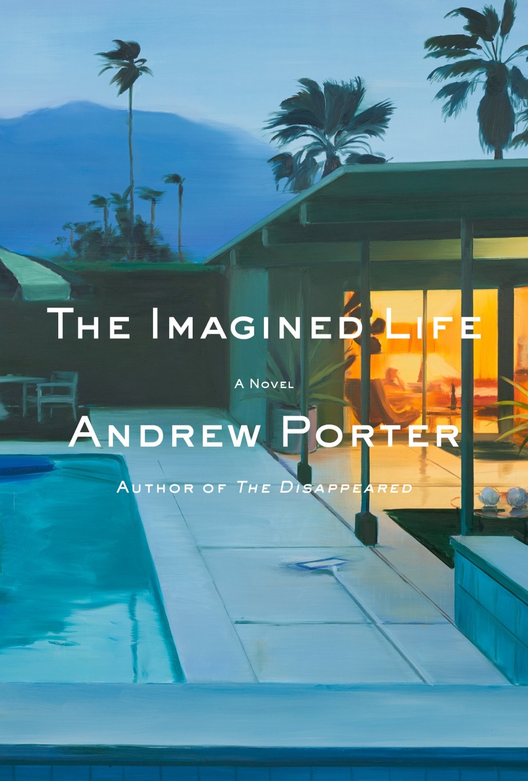 The Imagined Life by Andrew Porter